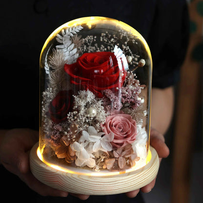 Eternal Preserved Real Austin Roses in Glass Dome with LED Light