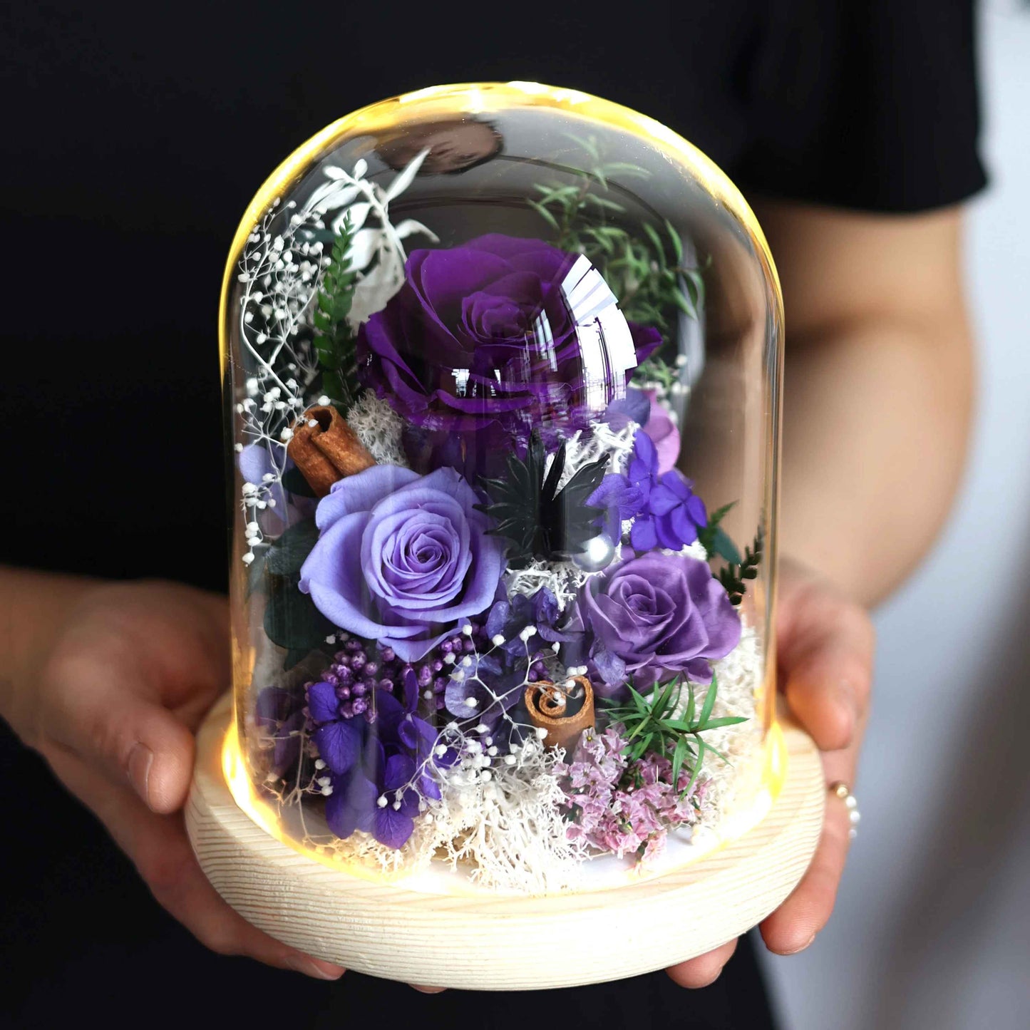 Eternal Preserved Real Austin Roses in Glass Dome with LED Light