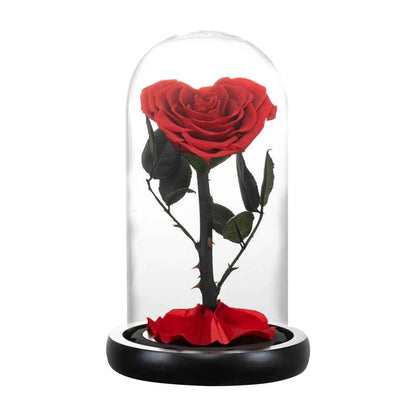 Heart Shaped Preserved Eternal Rose in Glass Dome