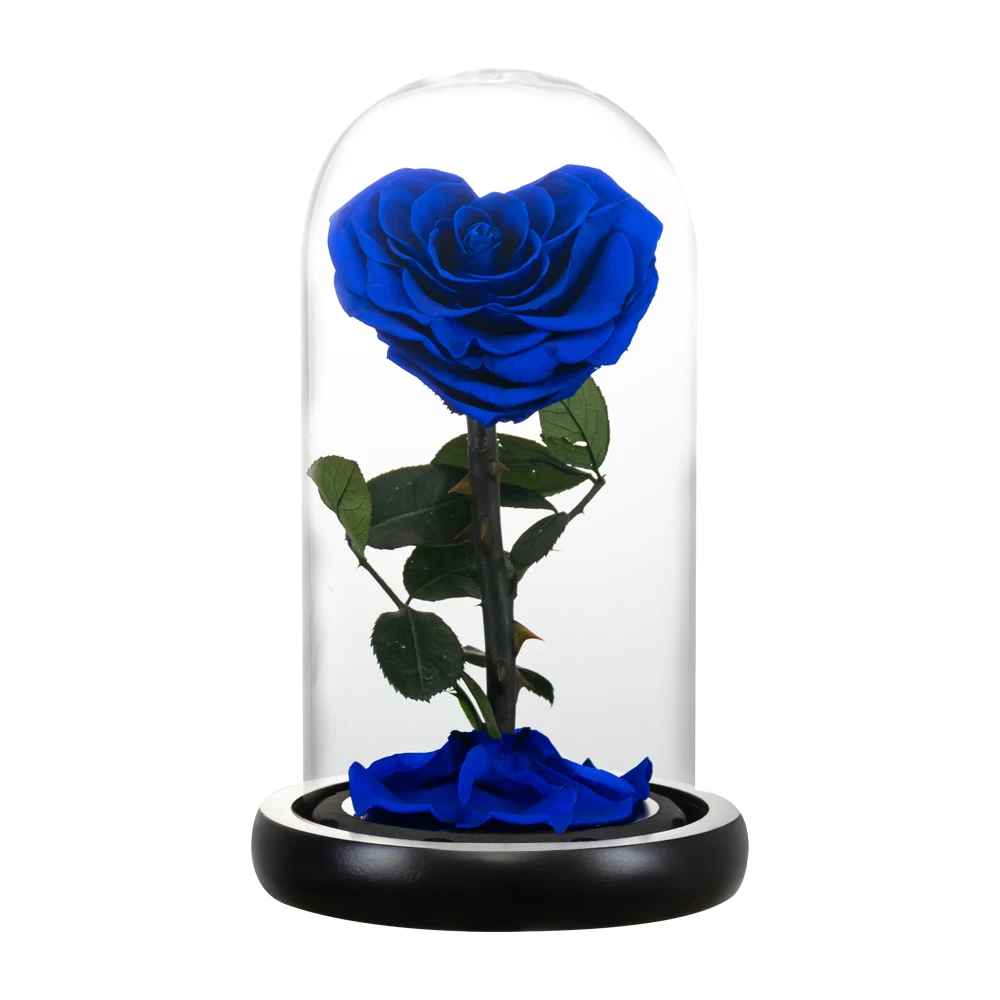 Heart Shaped Preserved Eternal Rose in Glass Dome