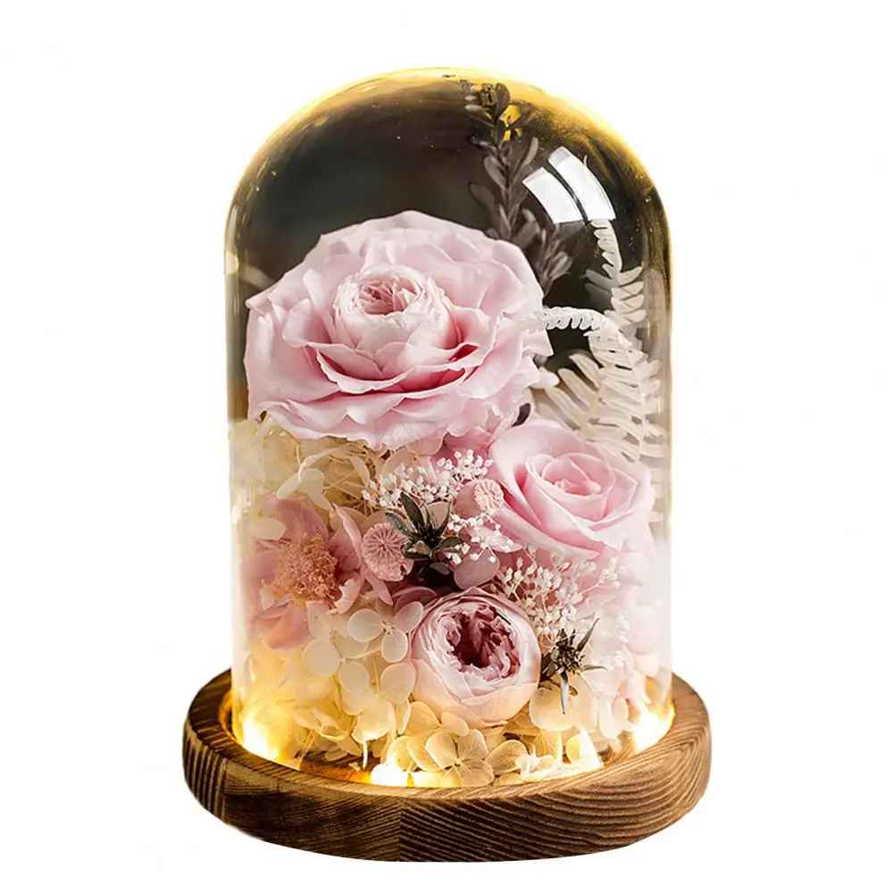 Eternal Preserved Real Infinity Rose Flower Glass Dome with LED Light