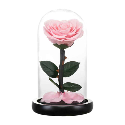 Heart Shaped Preserved Eternal Rose in Glass Dome