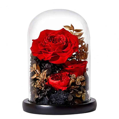 Eternal Preserved Real Infinity Rose Flower Glass Dome with LED Light