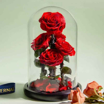 5 Heads Eternal Natural Preserved Dried Roses in Glass Dome