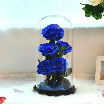 5 Heads Eternal Natural Preserved Dried Roses in Glass Dome