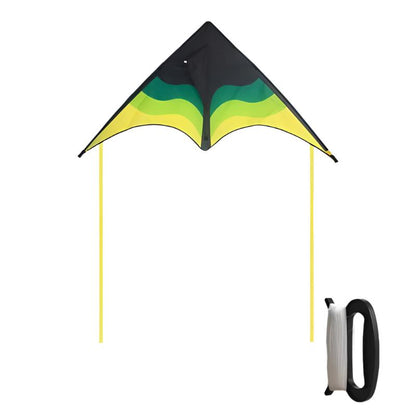 Large Beach Delta Kite