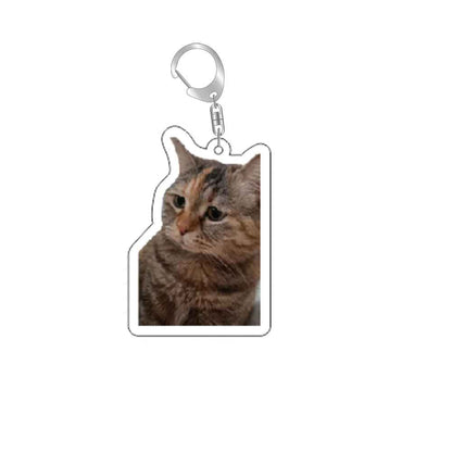 Funny Cat Memes Series Keychain