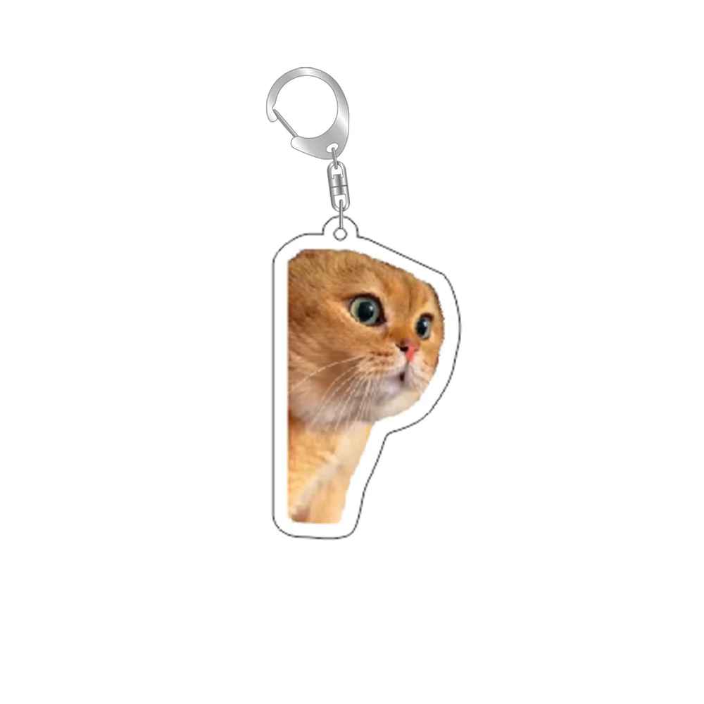 Funny Cat Memes Series Keychain