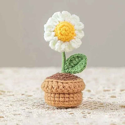 Cute Handcrafted Mini Crochet Potted Plant Decor