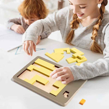 IQ Mind Brain Wooden Geometric Puzzle