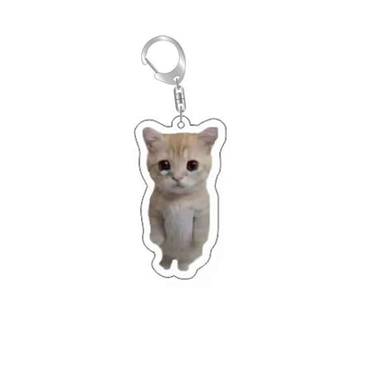 Funny Cat Memes Series Keychain