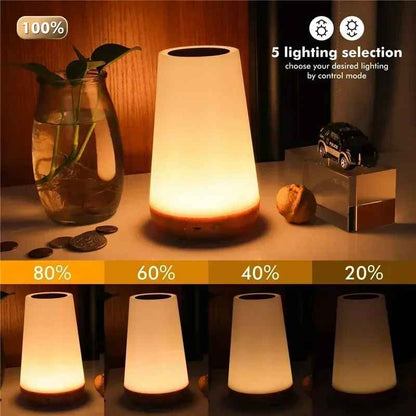 13 Color Touch Dimmable Night Light with RGB Remote Control