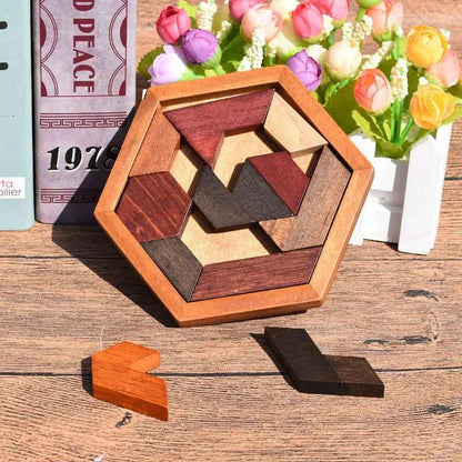 Hexagonal Wooden Puzzles IQ Game Educational Toy