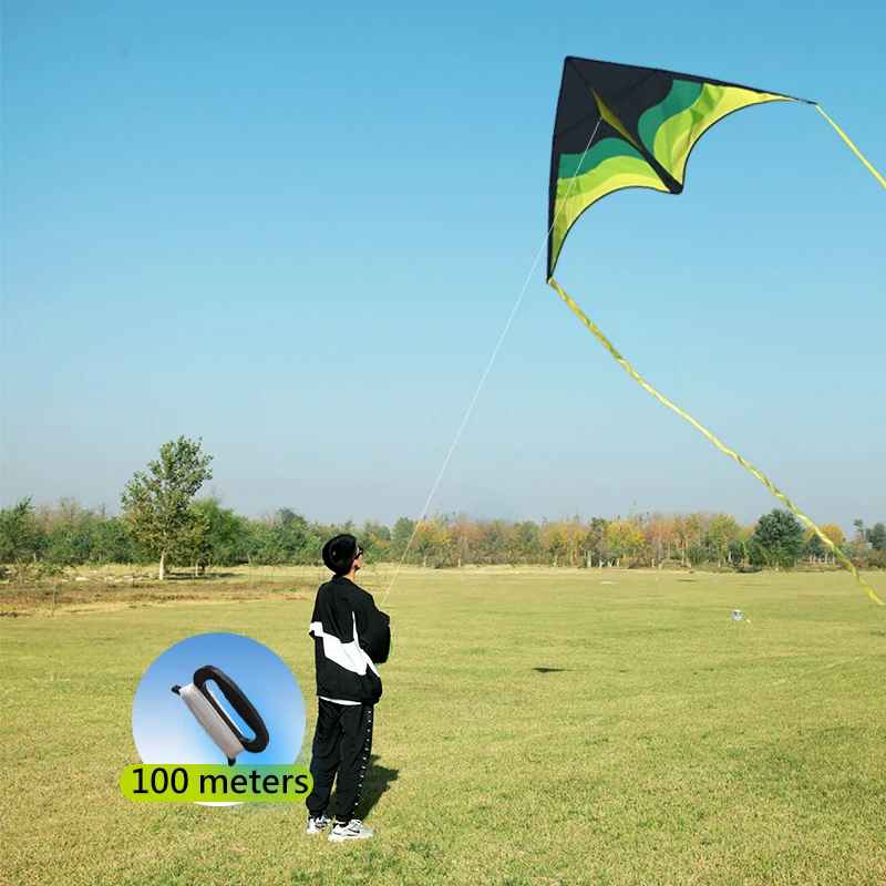 Large Beach Delta Kite