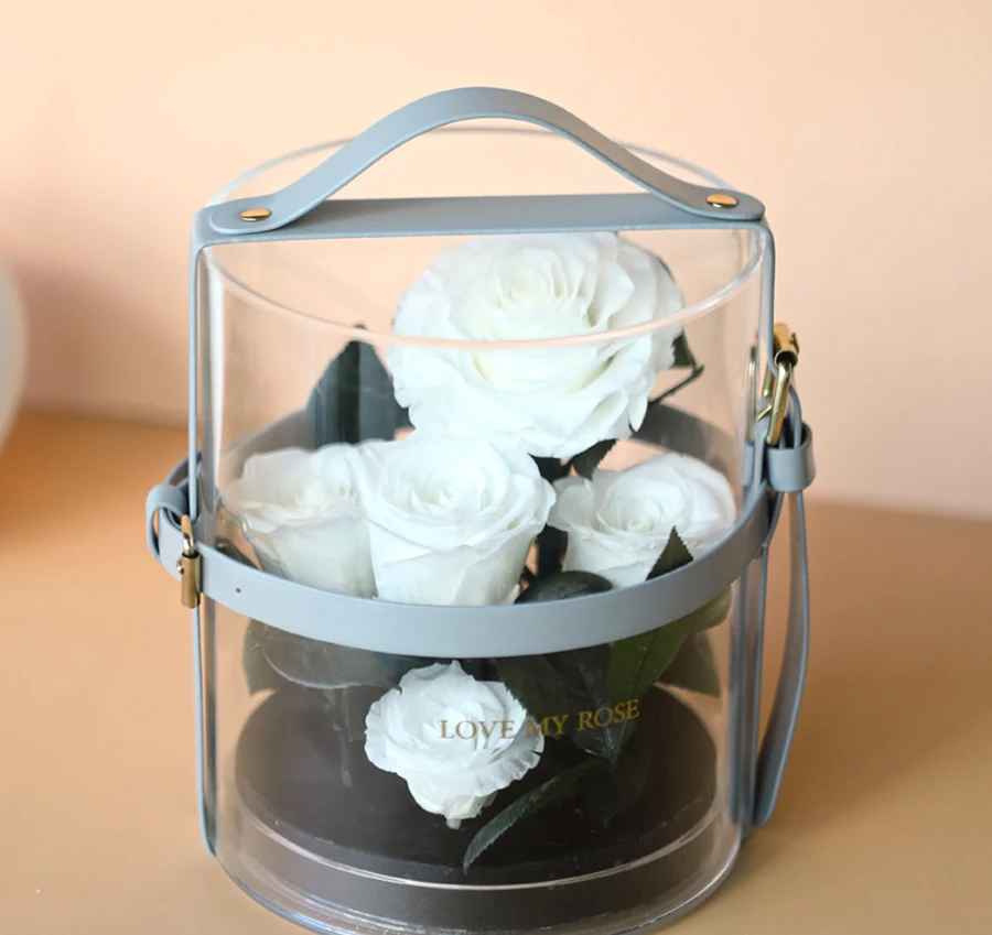 Elegant Portable Preserved Natural Real Rose in Acrylic Box