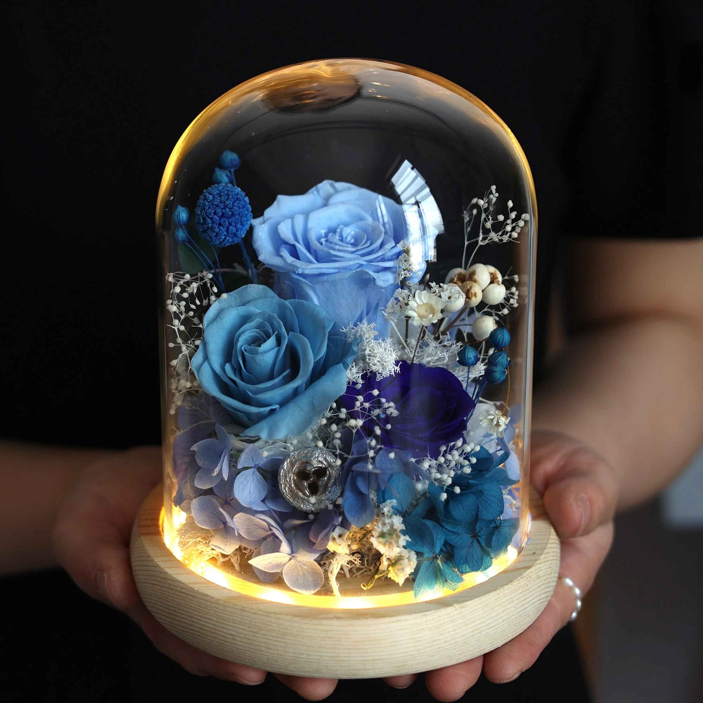 Eternal Preserved Real Austin Roses in Glass Dome with LED Light