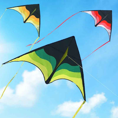 Large Beach Delta Kite