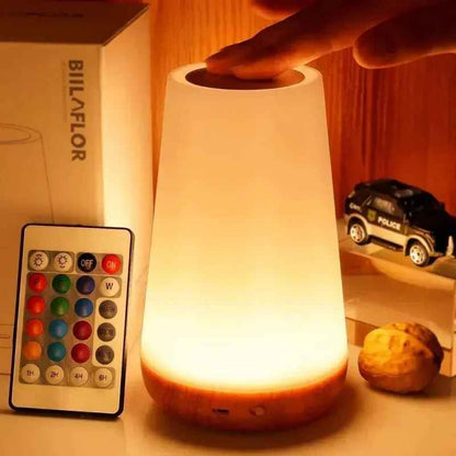 13 Color Touch Dimmable Night Light with RGB Remote Control