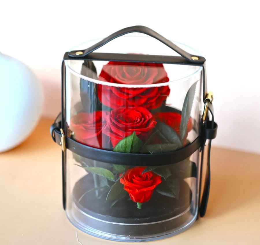 Elegant Portable Preserved Natural Real Rose in Acrylic Box