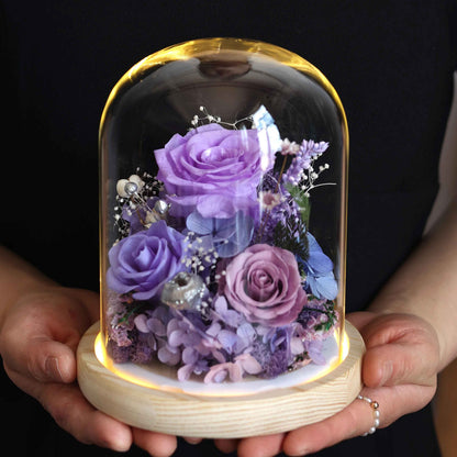 Eternal Preserved Real Austin Roses in Glass Dome with LED Light